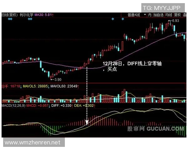 运动最新数据深入分析杭州网球队中路突破战术的独特魅力与实战应用