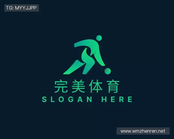 介绍完美体育